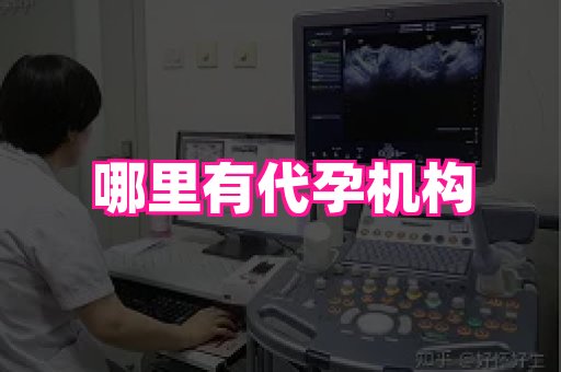 梦美助孕网 1
