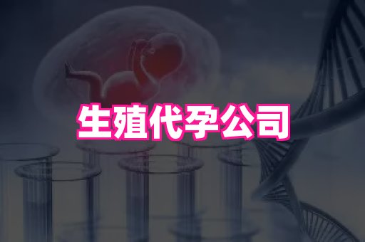 梦美助孕网 3